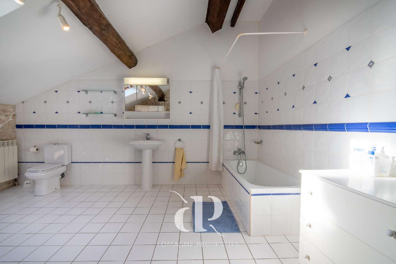  kaufen Villa Mauvezin Gers 8