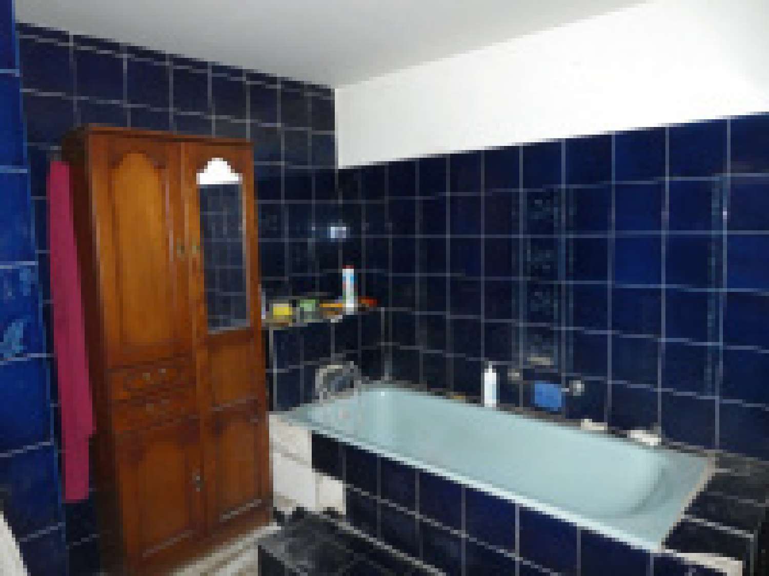  à vendre villa Montaigu-de-Quercy Tarn-et-Garonne 1