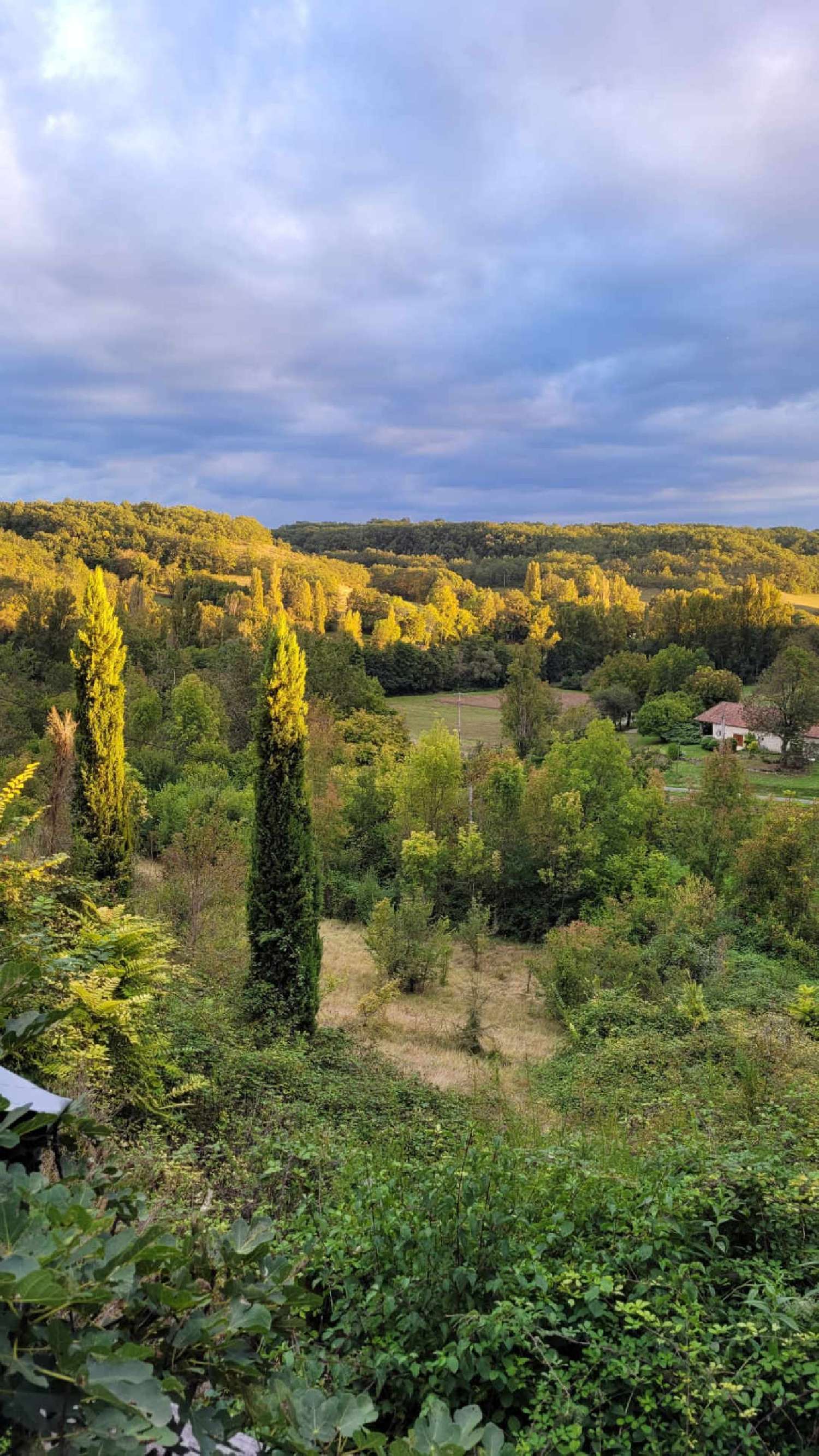  te koop villa Montaigu-de-Quercy Tarn-et-Garonne 4