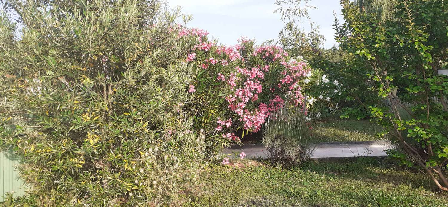  te koop villa Montcuq Lot 5