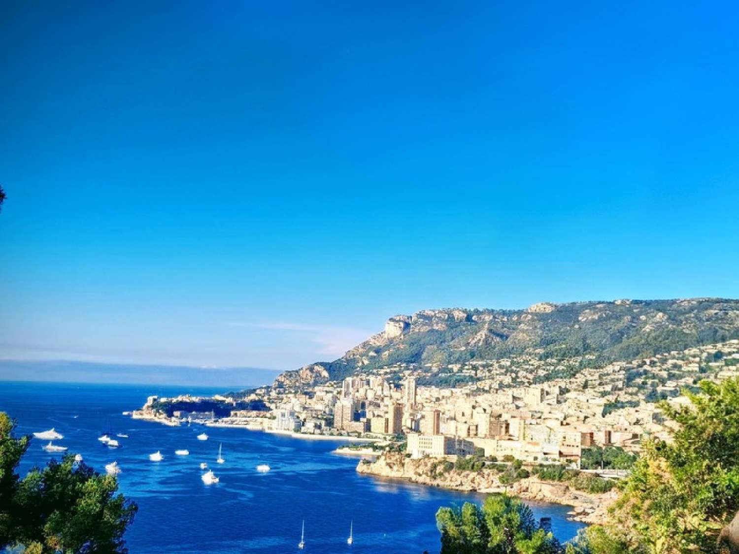 te koop villa Roquebrune-Cap-Martin Alpes-Maritimes 1