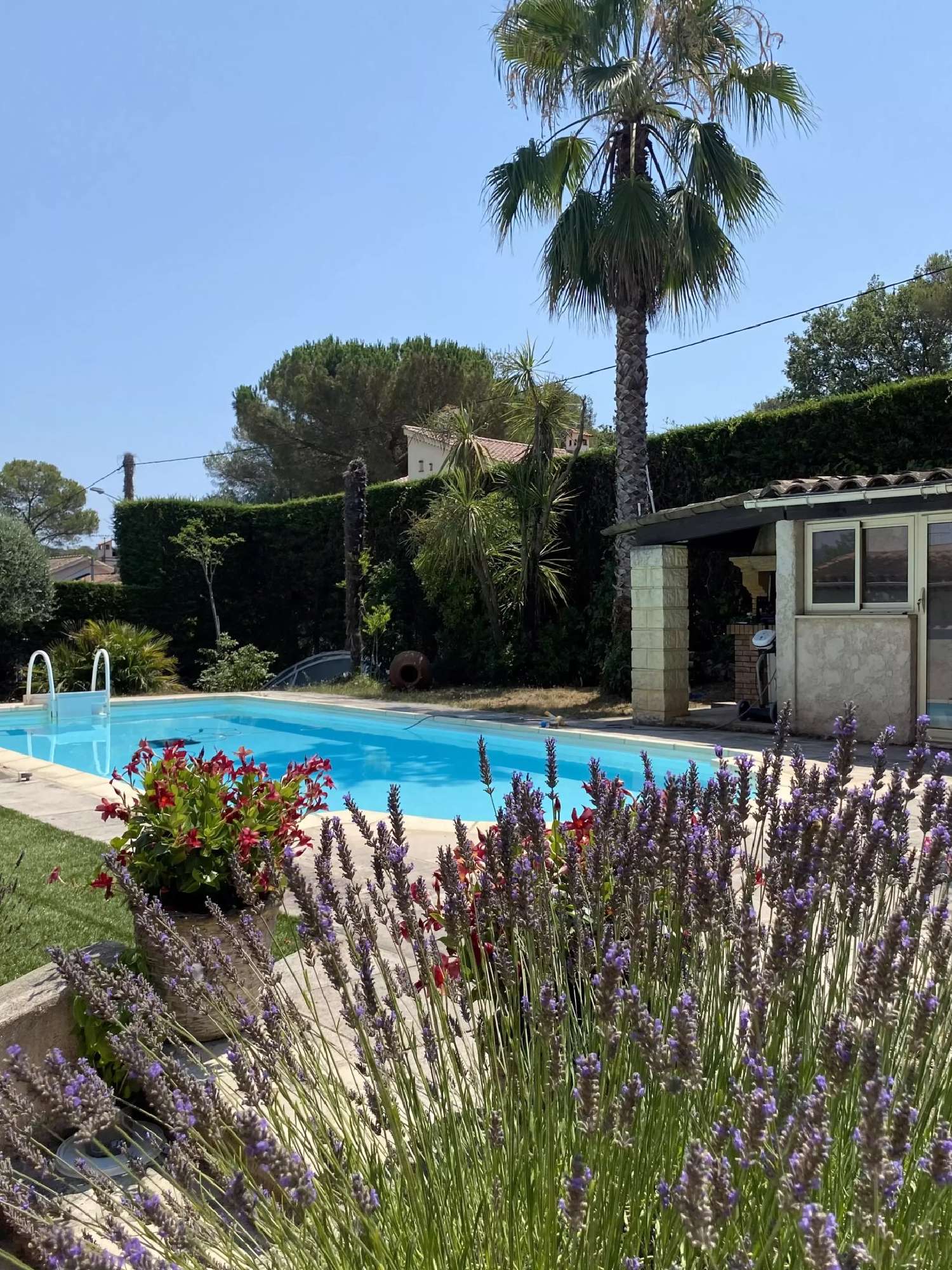  te koop villa Roquefort-les-pins Alpes-Maritimes 2