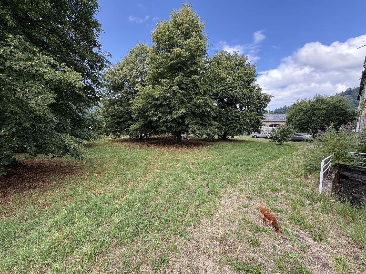  te koop villa Saint-Amandin Cantal 2