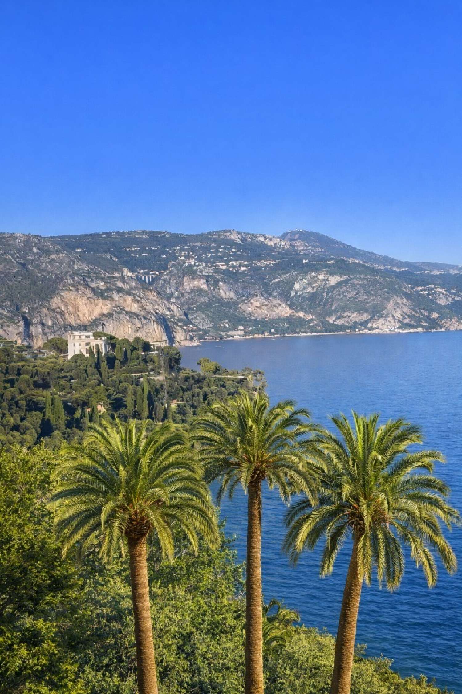  te koop villa Saint-Jean-Cap-Ferrat Alpes-Maritimes 1