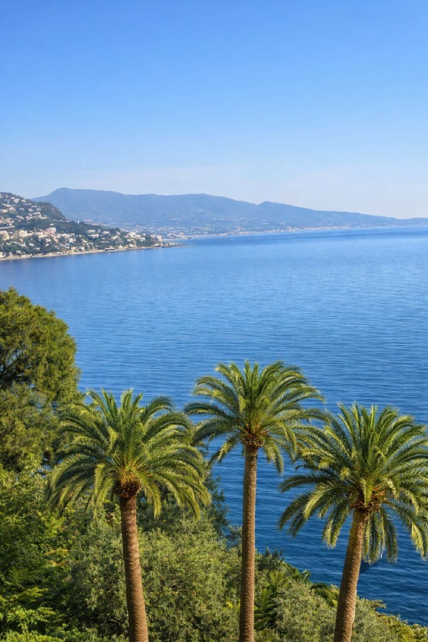  te koop villa Saint-Jean-Cap-Ferrat Alpes-Maritimes 4
