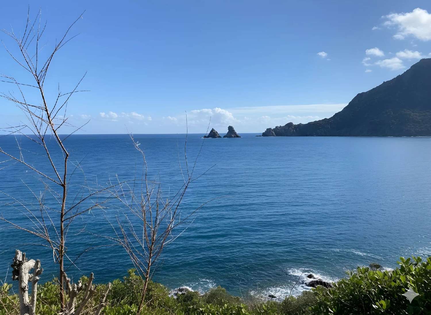  te koop villa Saint-Mandrier-sur-Mer Var 1