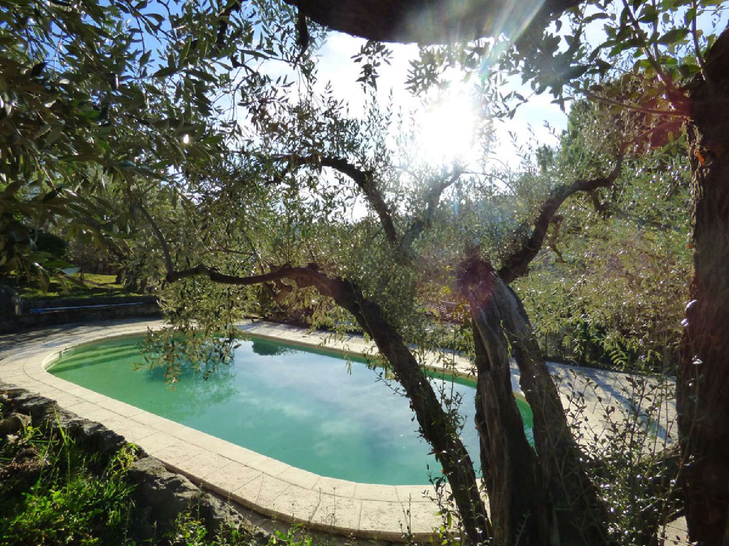  for sale villa Seillans Var 7