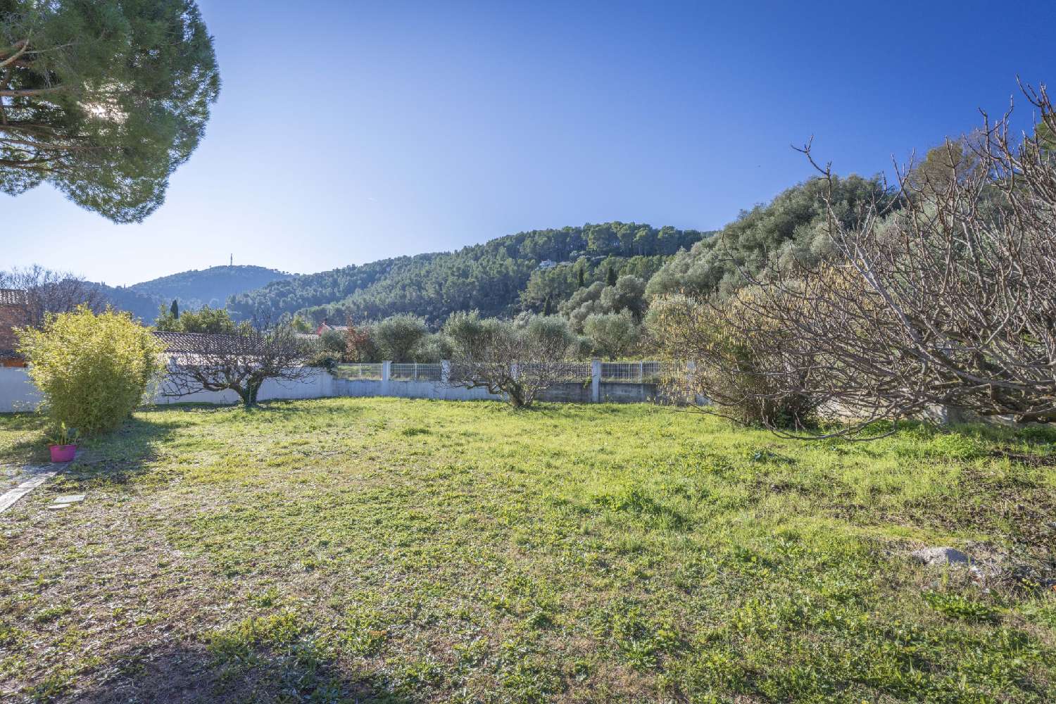  for sale villa Solliès-Pont Var 5