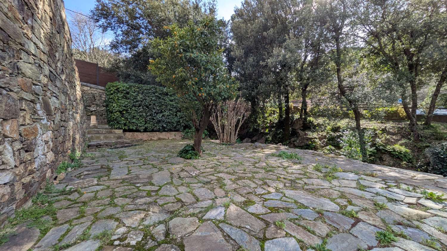  à vendre villa Sorède Pyrénées-Orientales 8