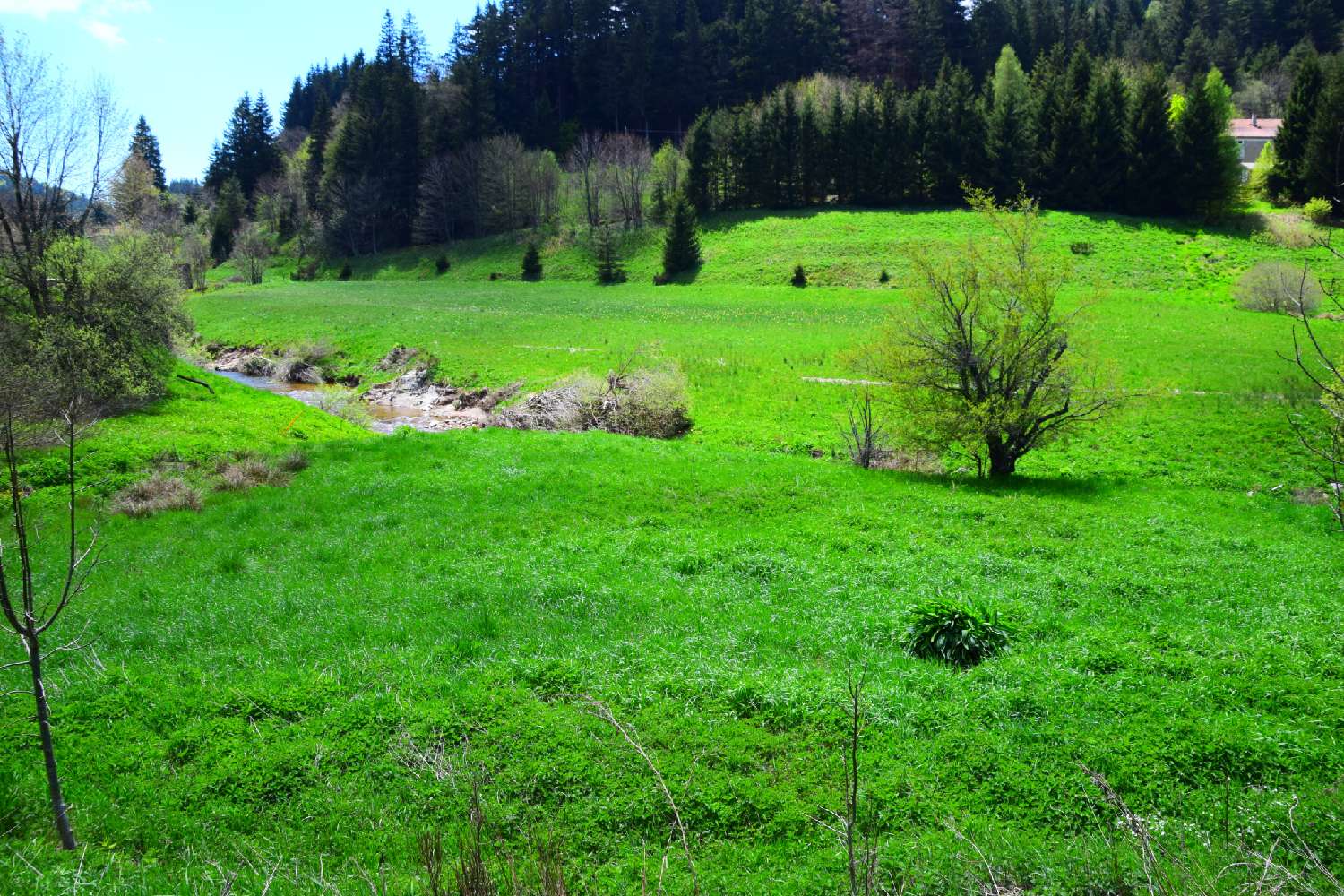  te koop dorpshuis Lanarce Ardèche 4