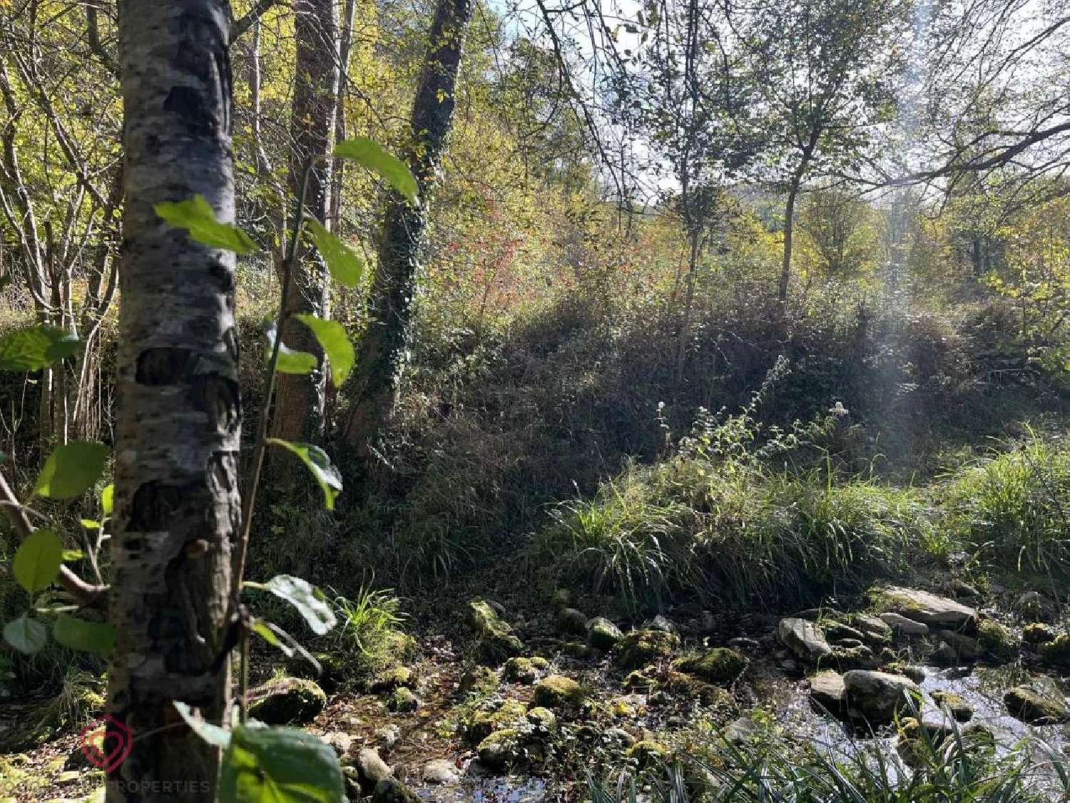  à vendre maison de village Limoux Aude 2