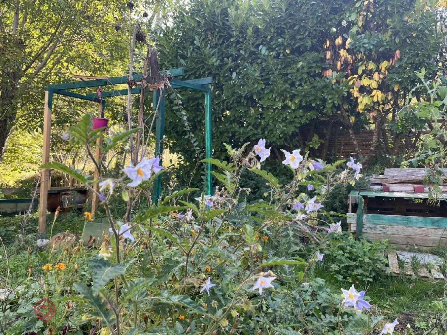  à vendre maison de village Limoux Aude 7