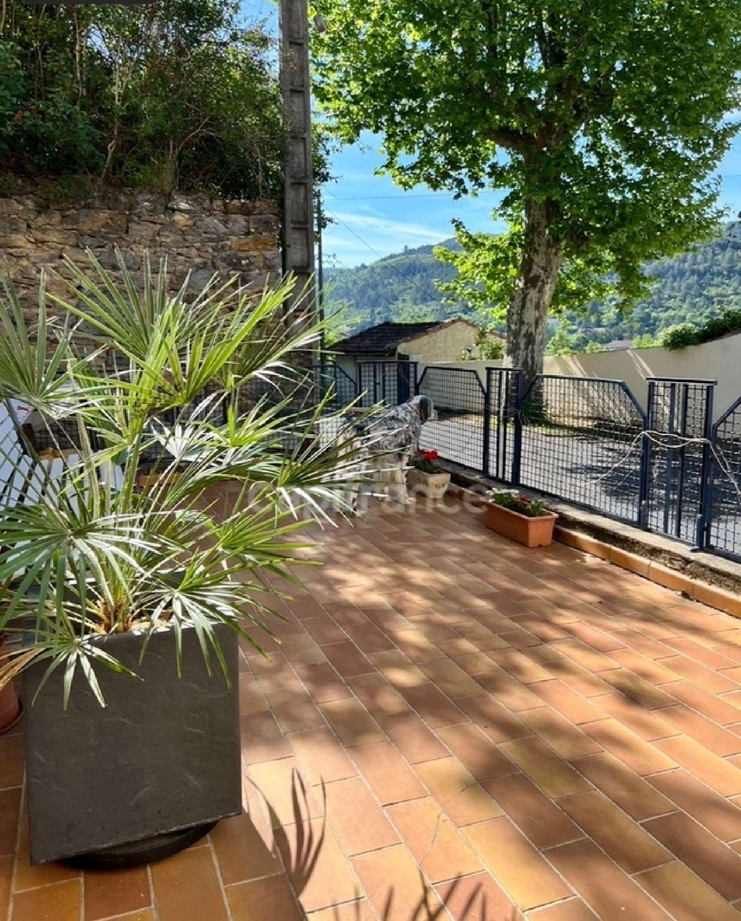  te koop dorpshuis Montazels Aude 3