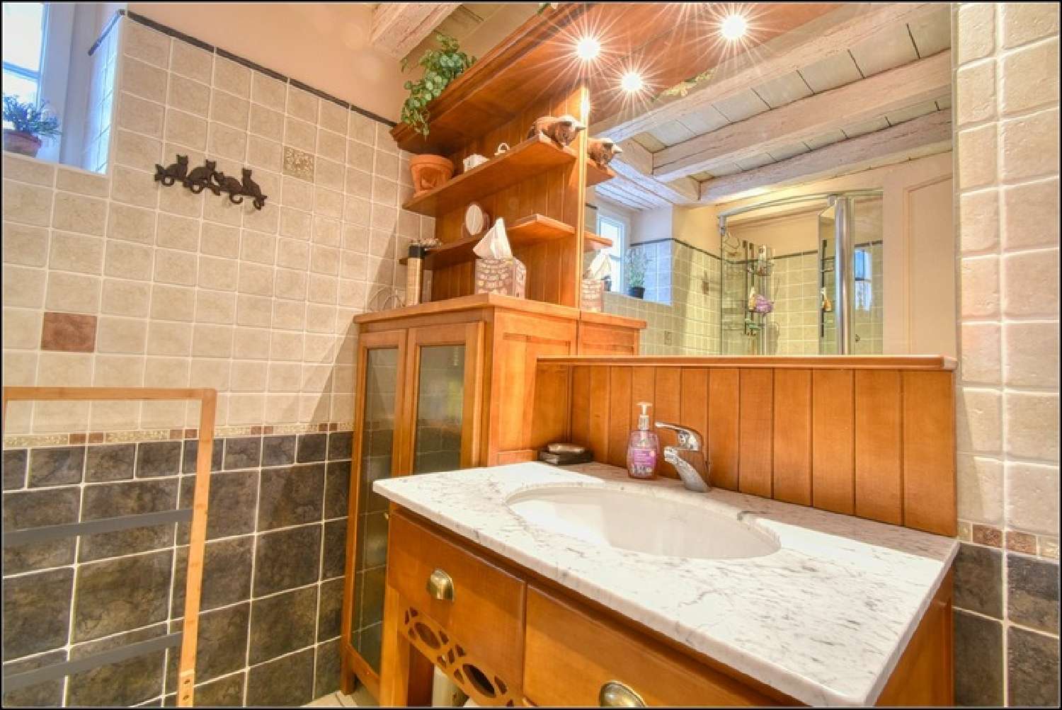  à vendre maison de village Neuilly-le-Brignon Indre-et-Loire 8