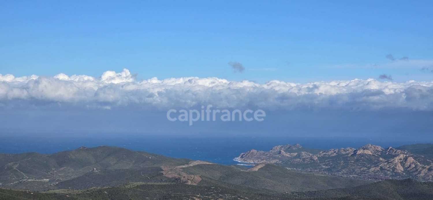  à vendre maison de village Olmi-Cappella Haute-Corse 1