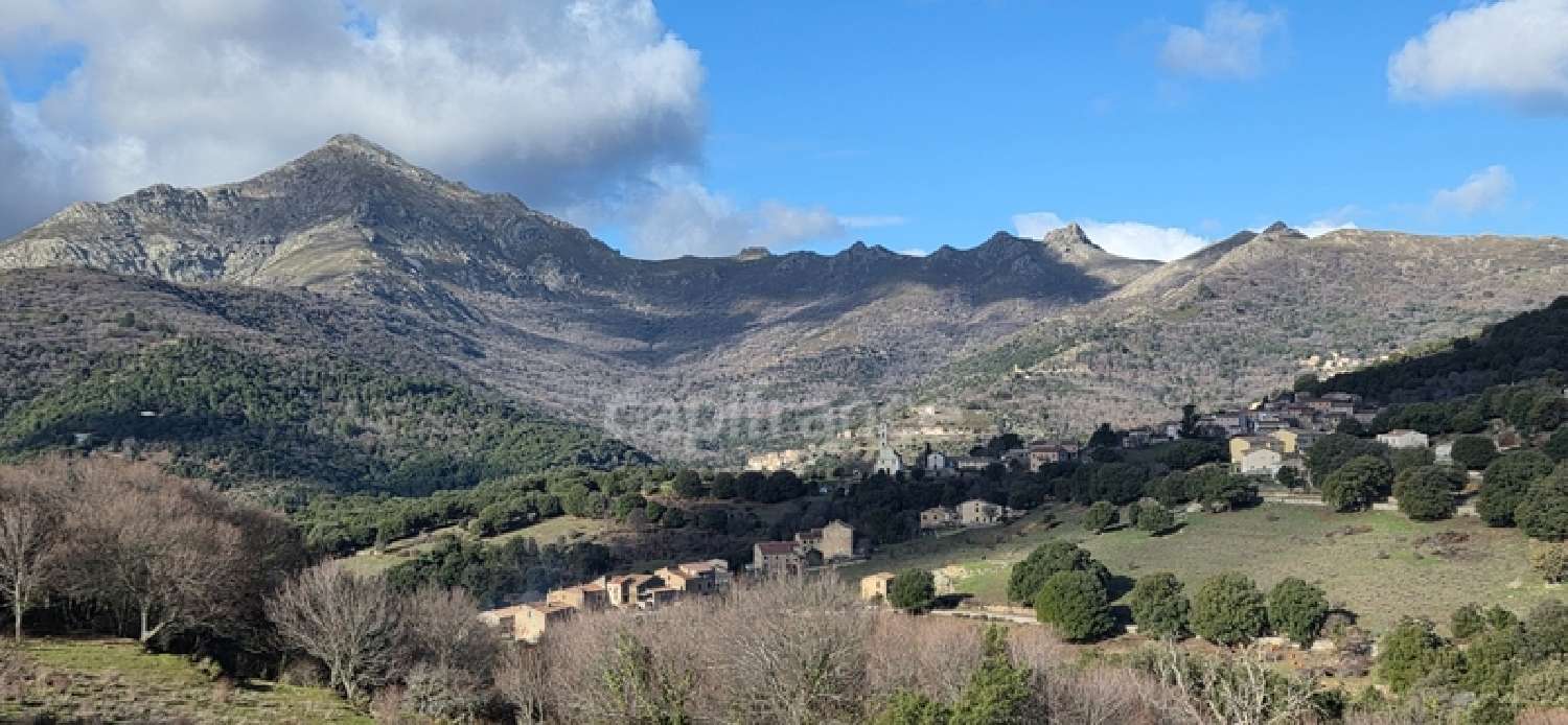  à vendre maison de village Olmi-Cappella Haute-Corse 7