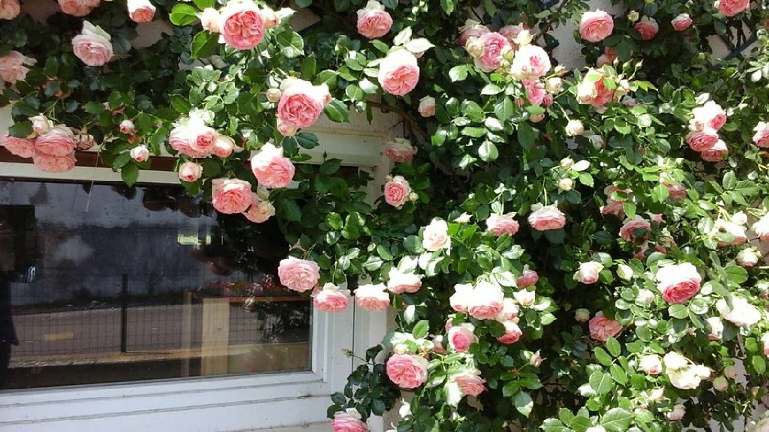  te koop dorpshuis Saint-Gervais-en-Vallière Saône-et-Loire 5