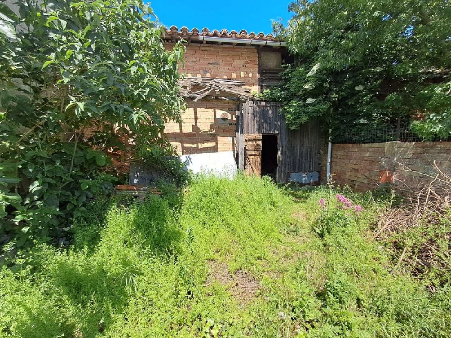  en venta casa de pueblo Villasavary Aude 2