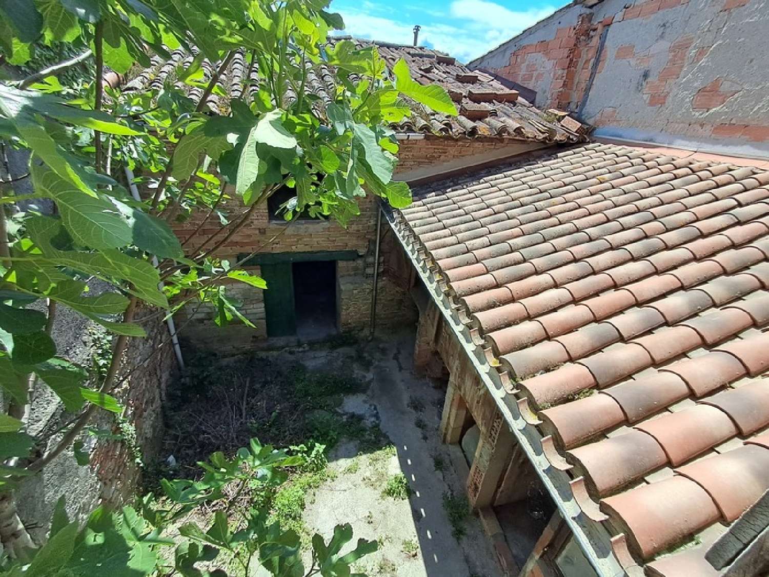  en venta casa de pueblo Villasavary Aude 6