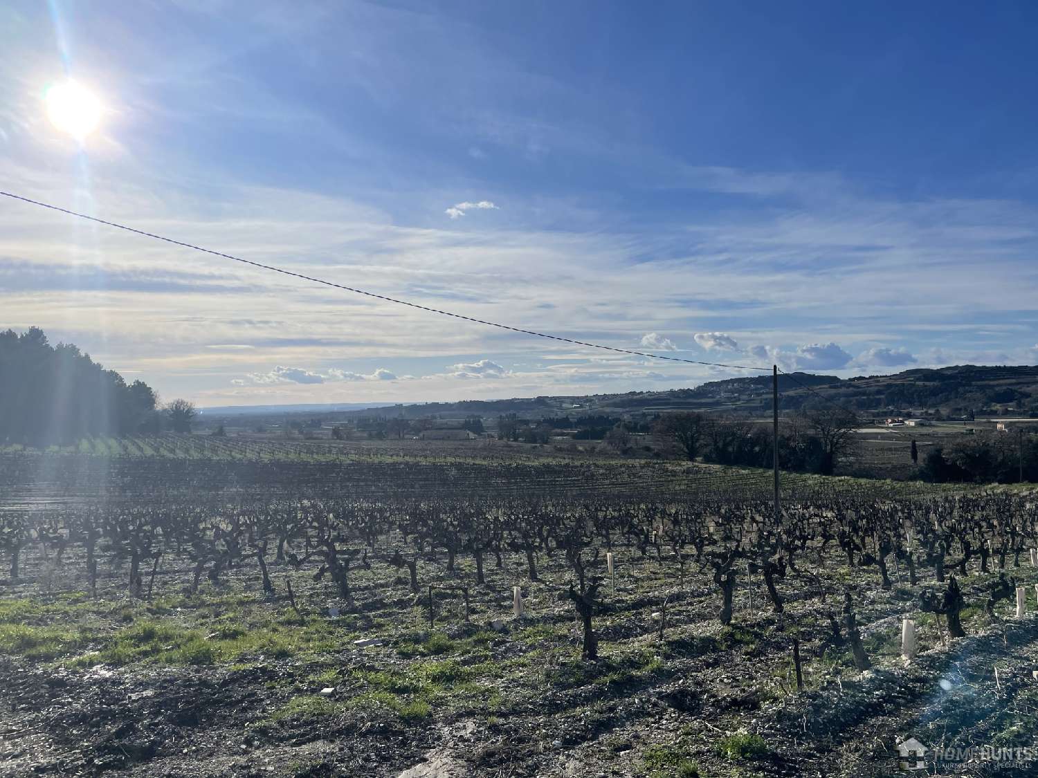  à vendre vignoble Courthézon Vaucluse 5