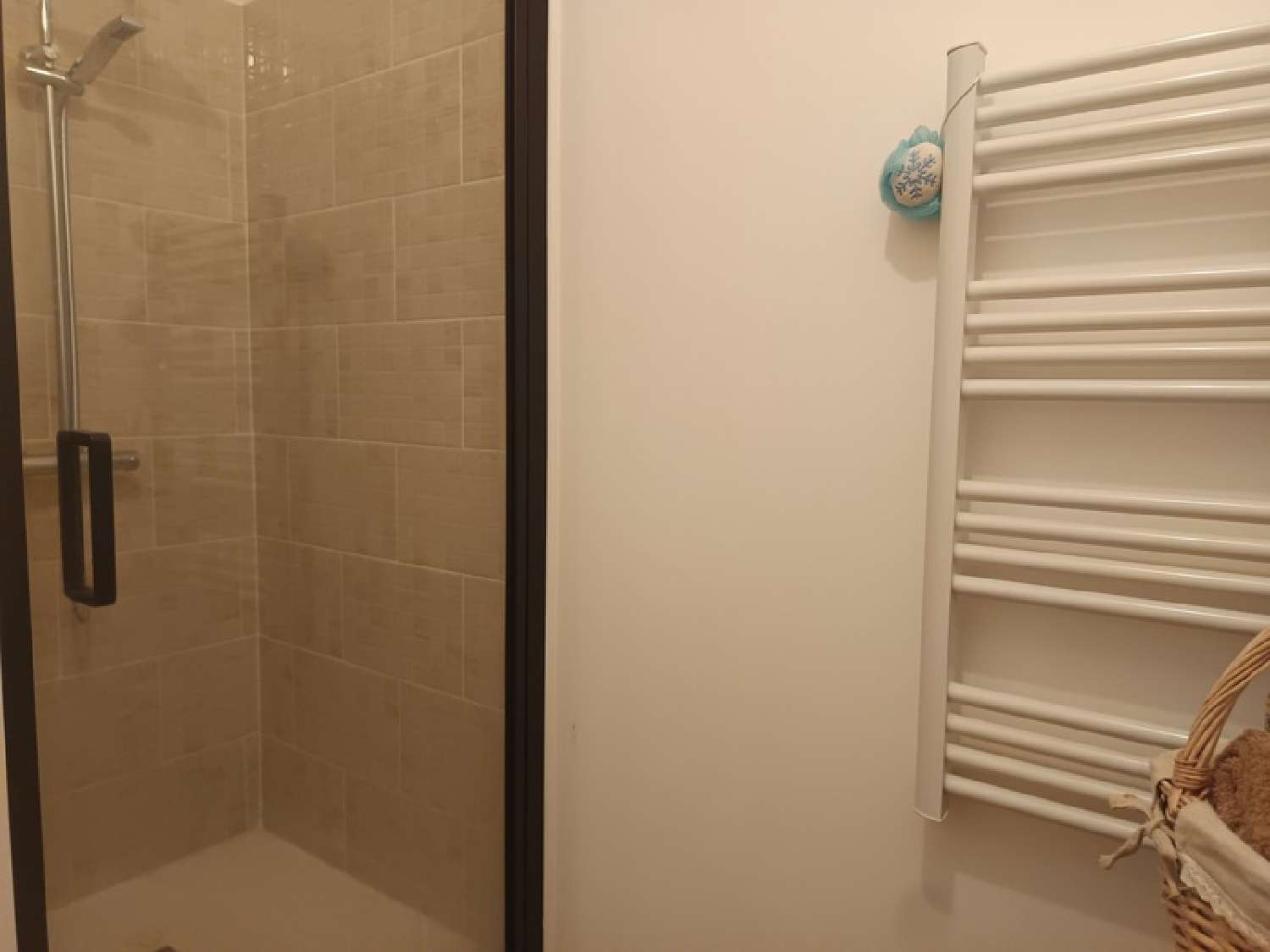  te koop appartement Aire-sur-l'Adour Landes 5