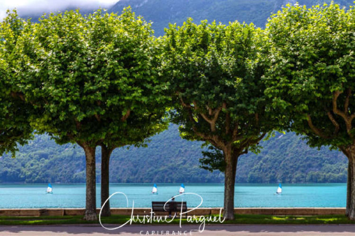 for sale apartment Aix-les-Bains Savoie 8