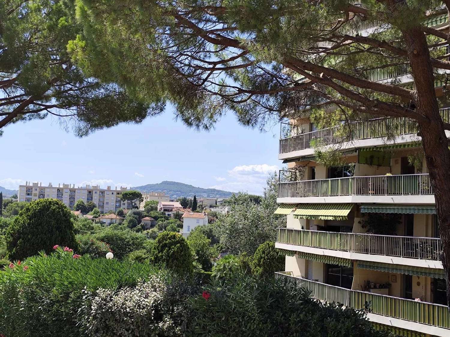  for sale apartment Antibes Alpes-Maritimes 1