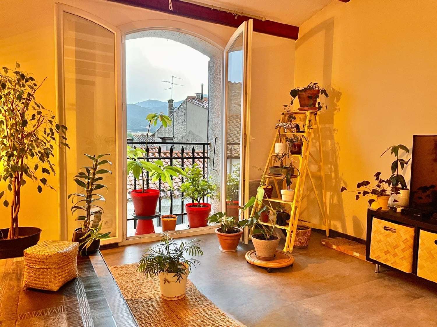  te koop appartement Argelès-sur-Mer Pyrénées-Orientales 1