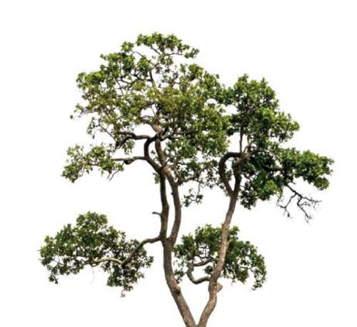 Ars-sur-Moselle Moselle Wohnung/ Apartment Bild 7274851