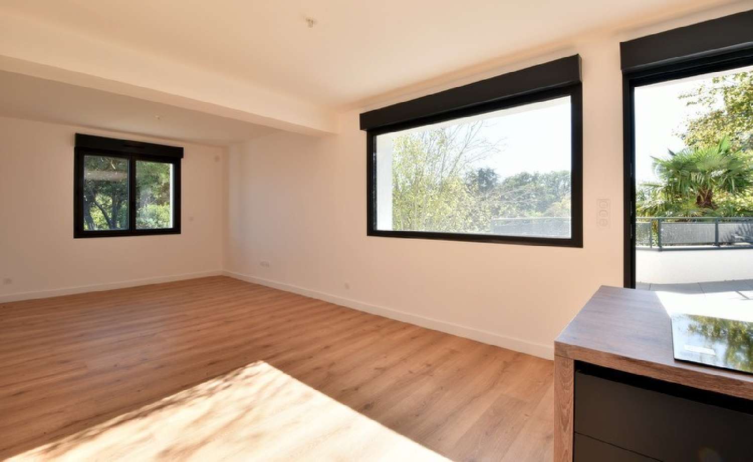  te koop appartement Balma Haute-Garonne 3