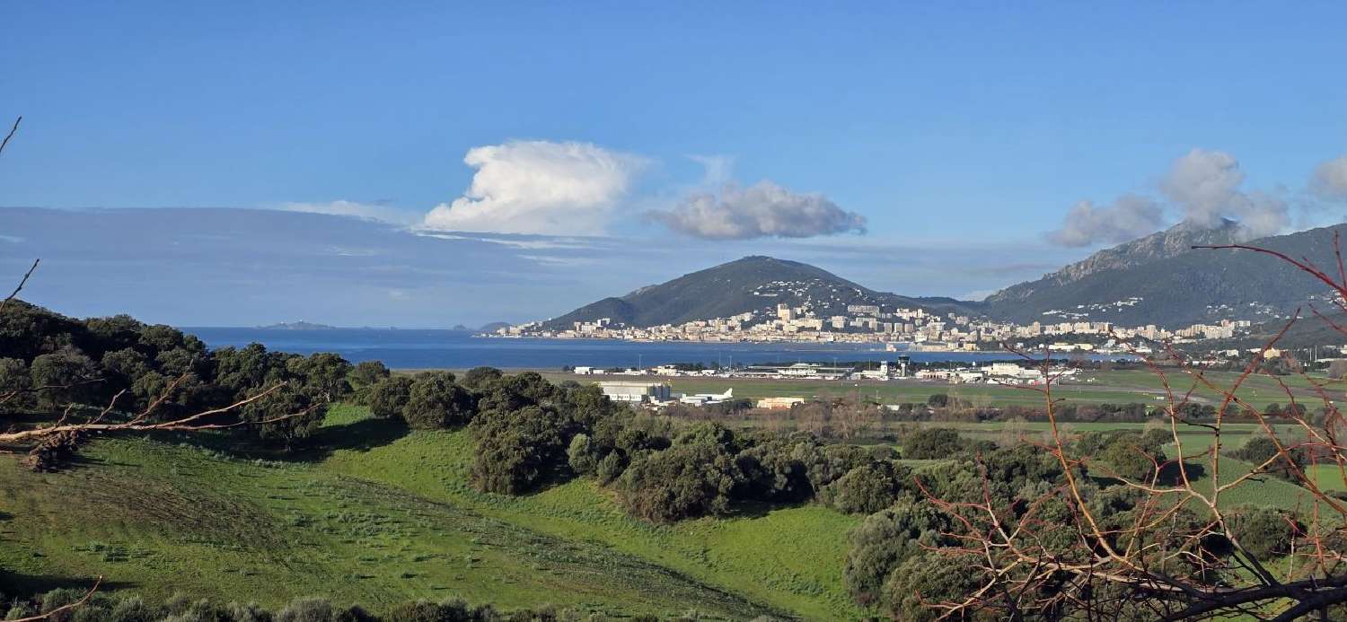  te koop appartement Bastelicaccia Corse-du-Sud 1