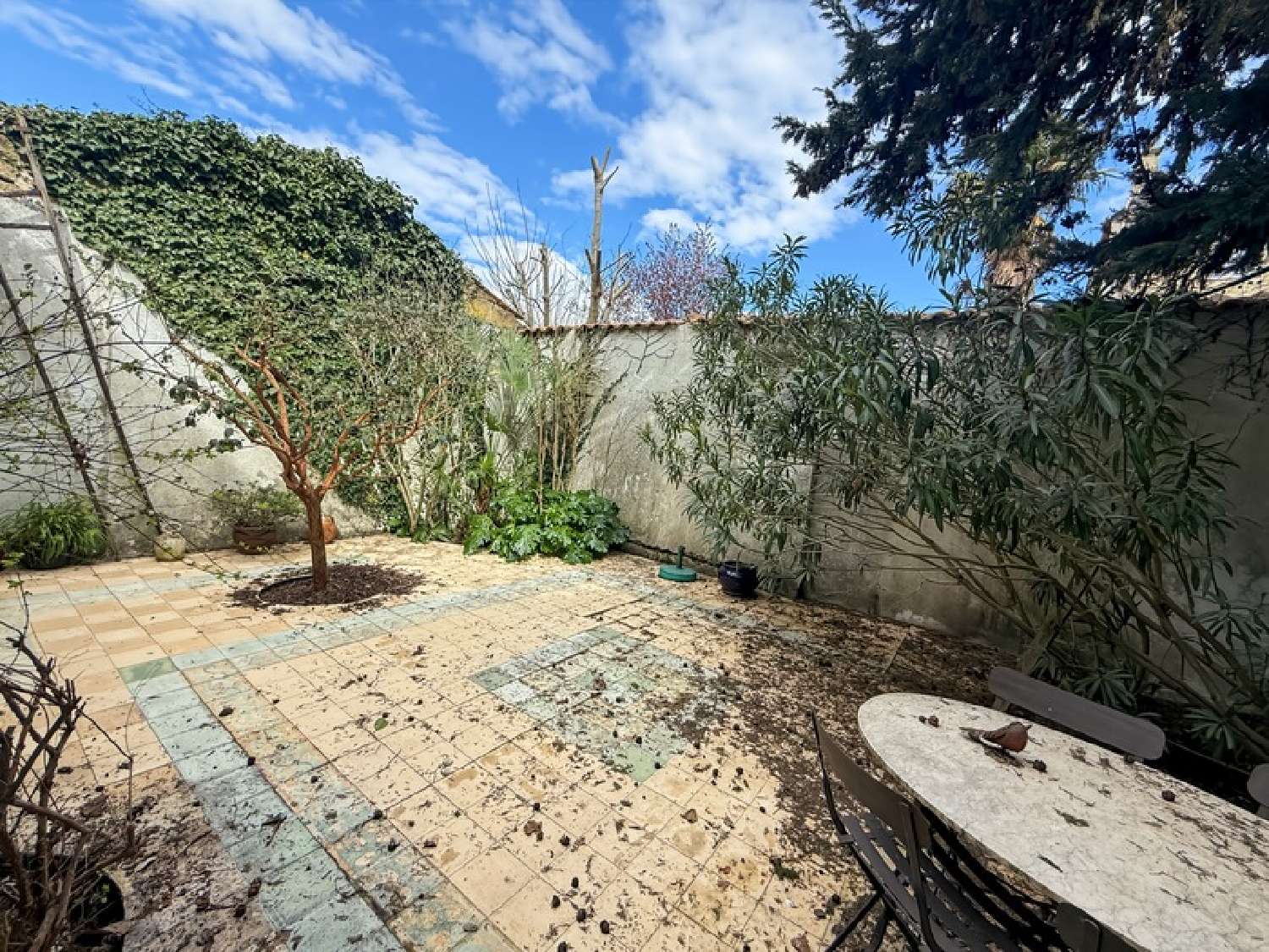  for sale apartment Bordeaux Gironde 6