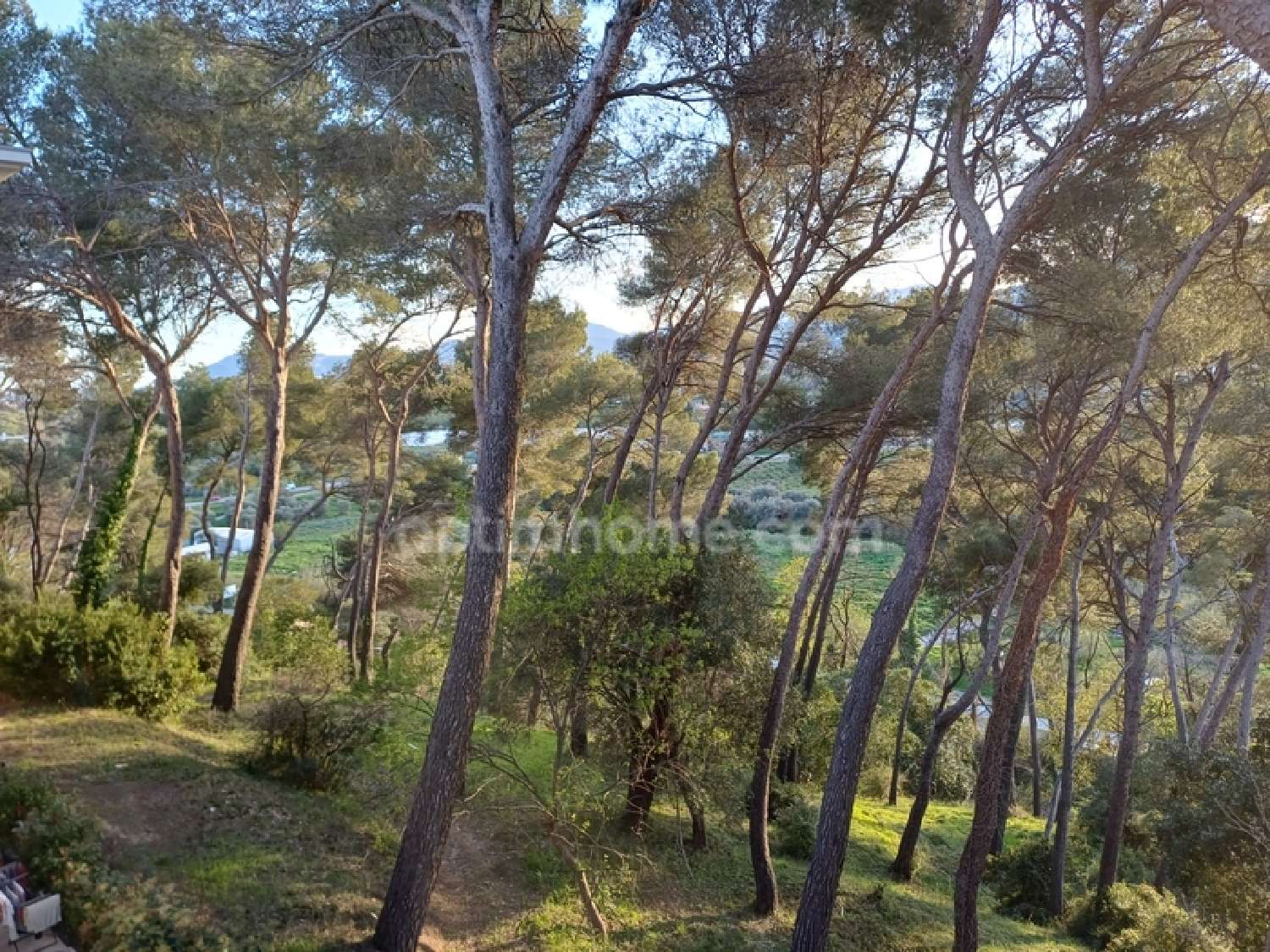  te koop appartement Cannes La Bocca Alpes-Maritimes 3