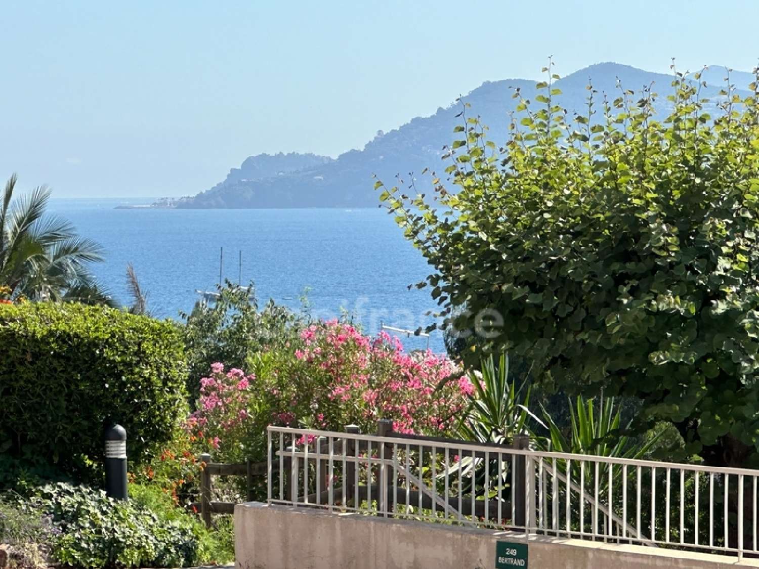  en venta apartamento Cannes Alpes-Maritimes 2