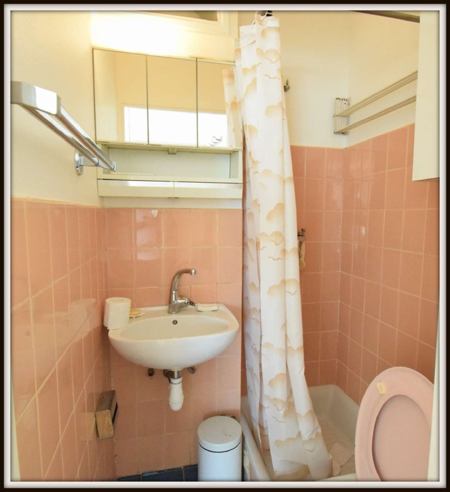  te koop appartement Cannes Alpes-Maritimes 8