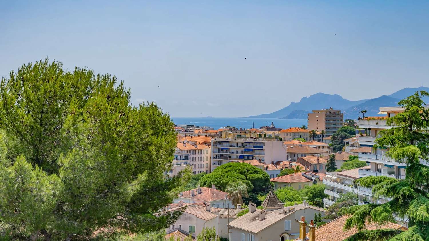 te koop appartement Cannes Alpes-Maritimes 6