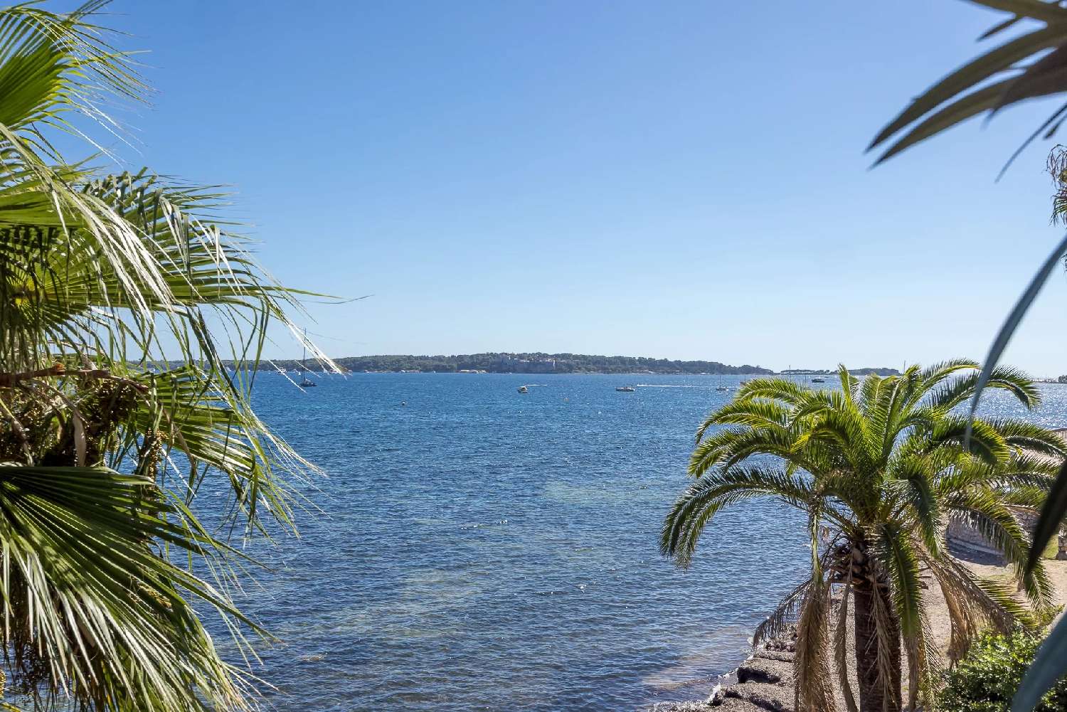 en venta apartamento Cannes Alpes-Maritimes 5