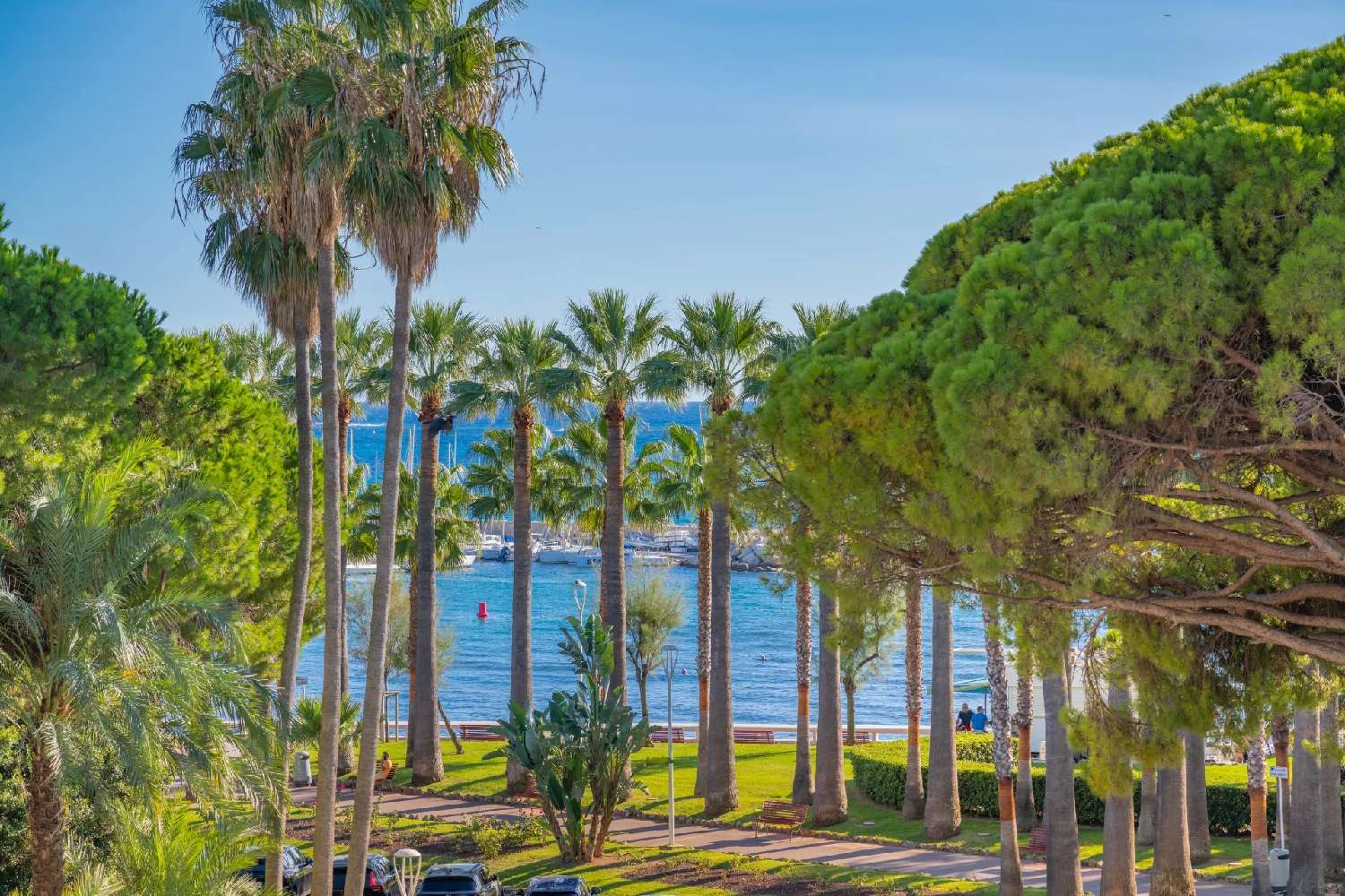 te koop appartement Cannes Alpes-Maritimes 6