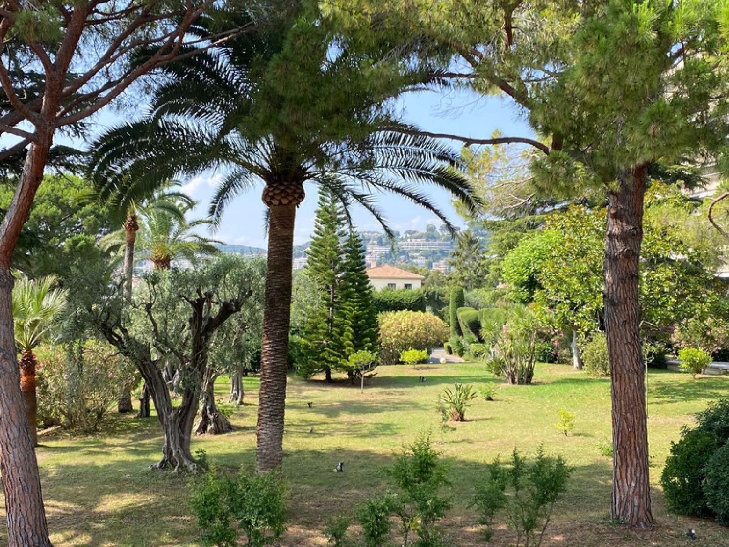  te koop appartement Cannes Alpes-Maritimes 1