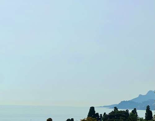 Cannes Alpes-Maritimes Wohnung/ Apartment Bild 7286275