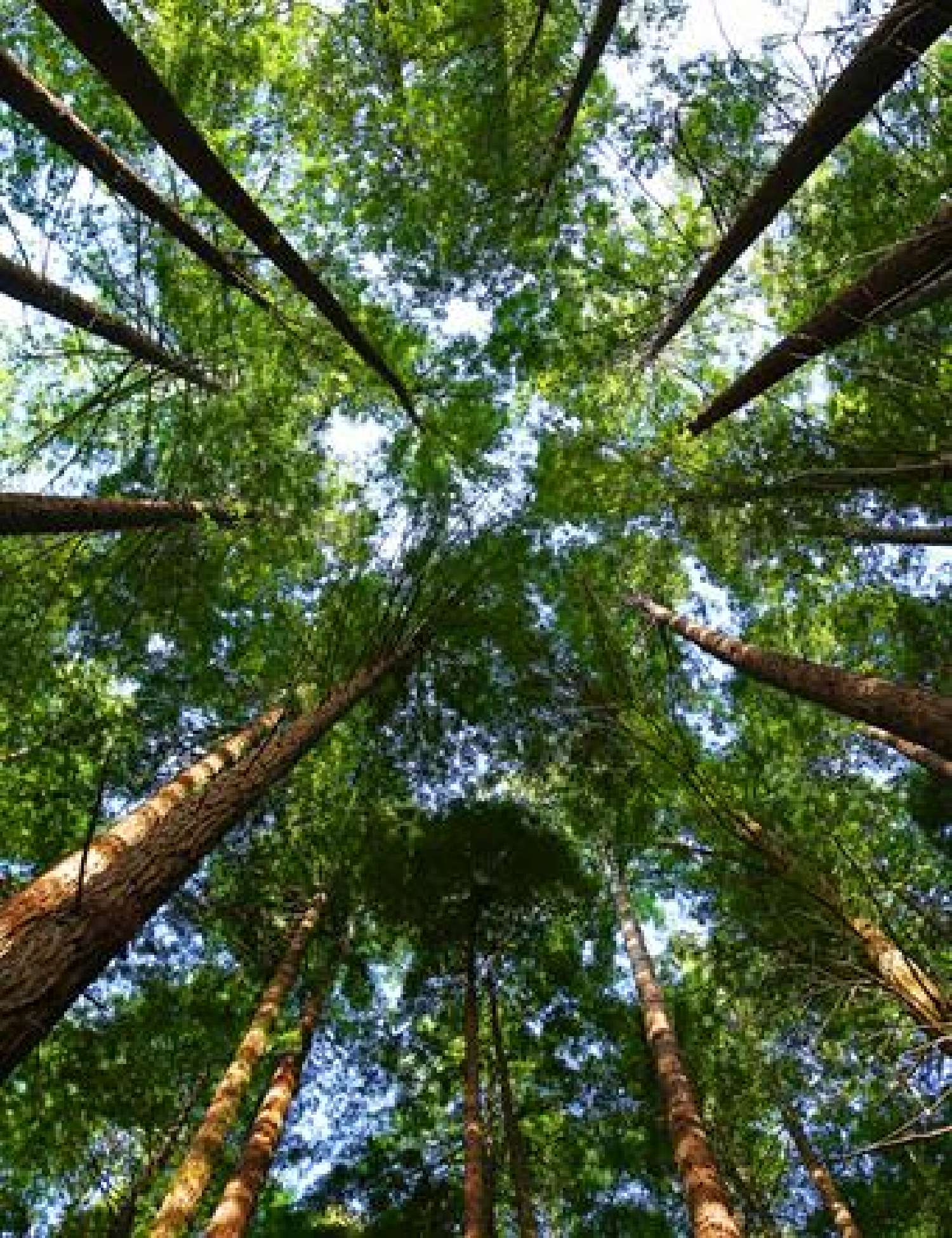  te koop appartement Capbreton Landes 1