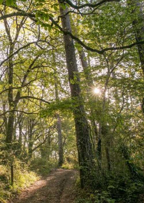 Castets Landes appartement foto 7274989