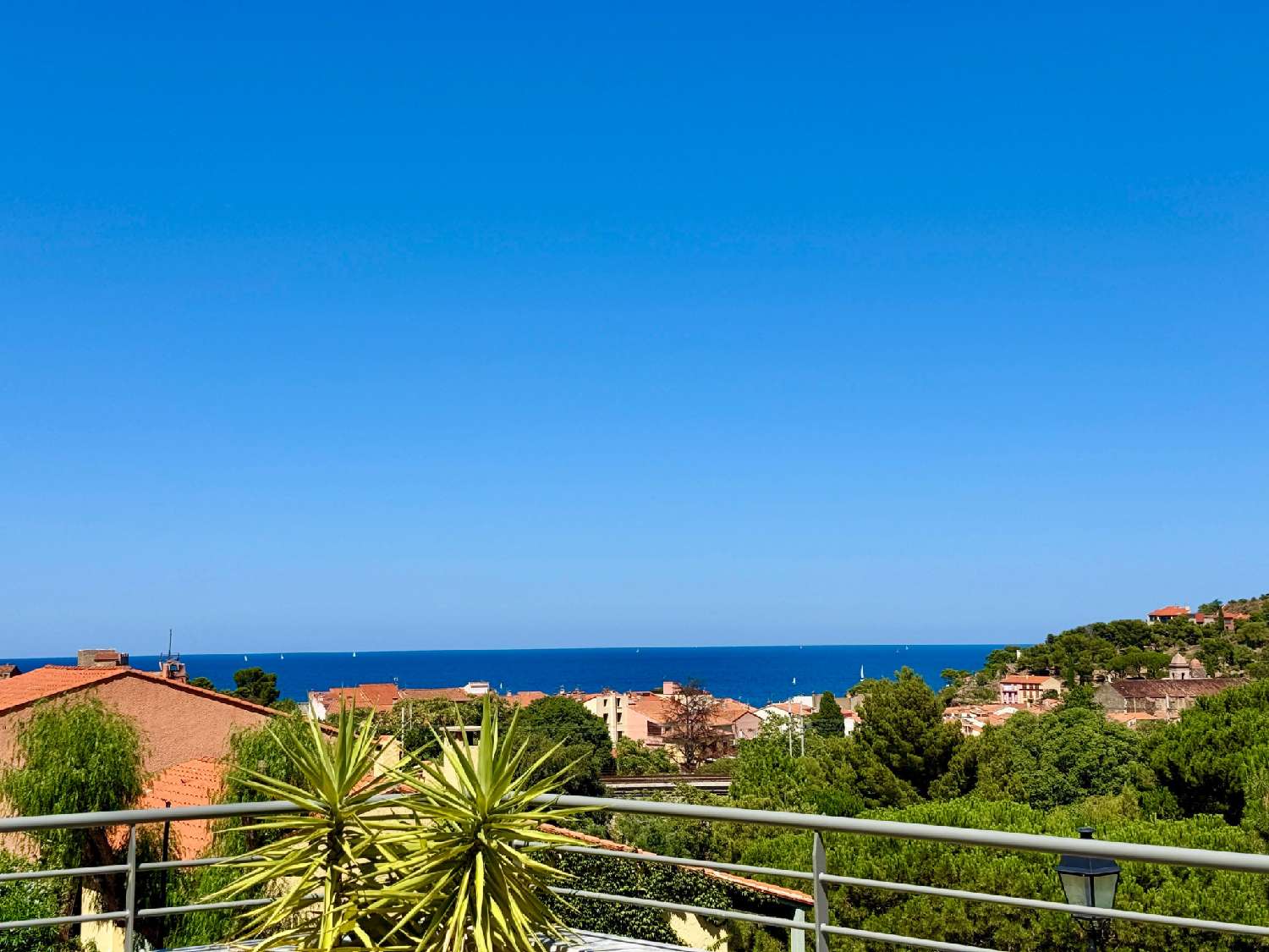  te koop appartement Collioure Pyrénées-Orientales 1