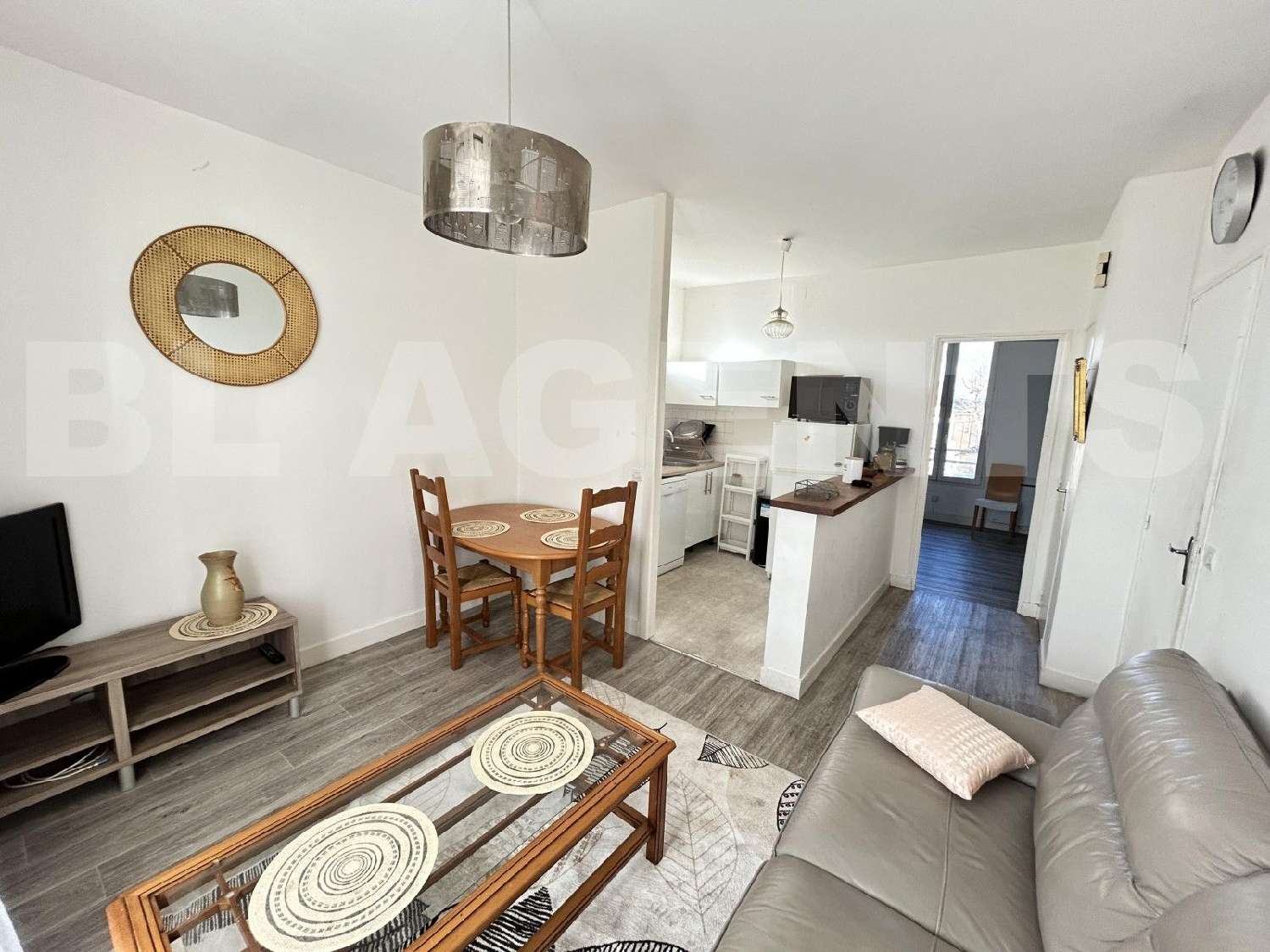  te koop appartement Courtenay Loiret 1