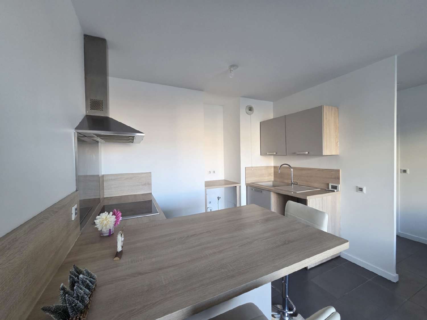  te koop appartement Décines-Charpieu Rhône 3