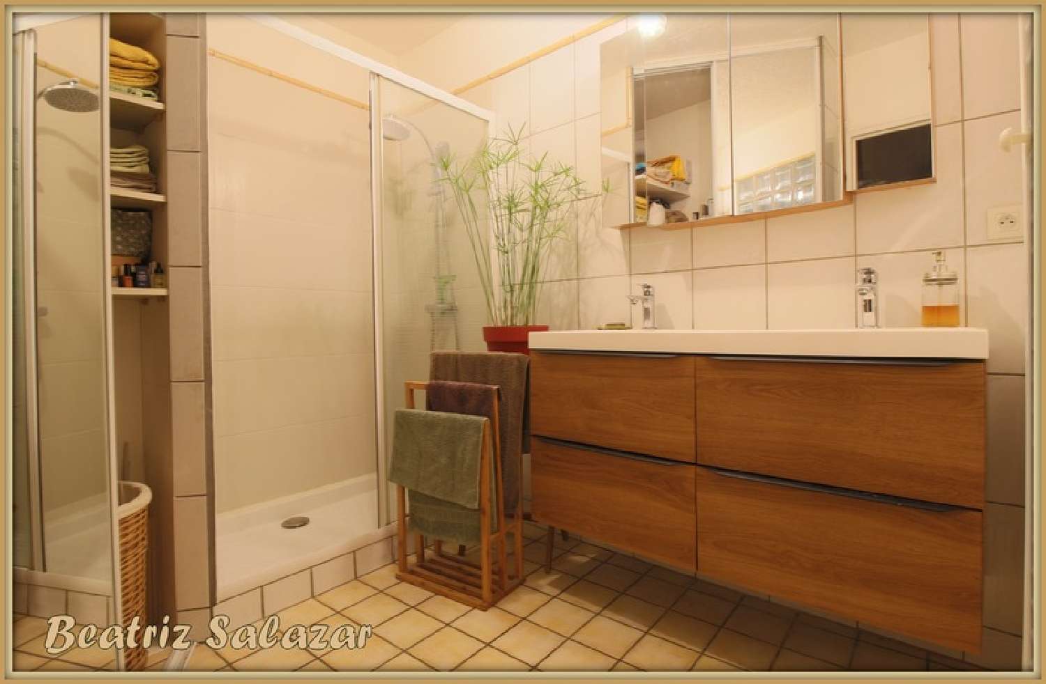 for sale apartment Digne-Les-Bains Alpes-de-Haute-Provence 6