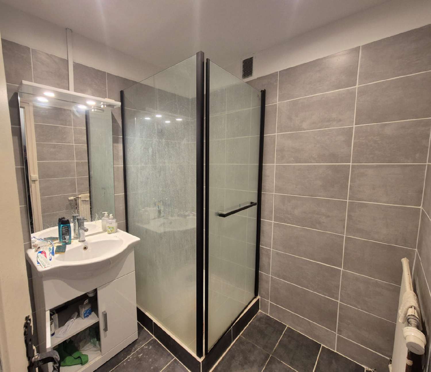 kaufen Wohnung/ Apartment Échirolles Isère 6