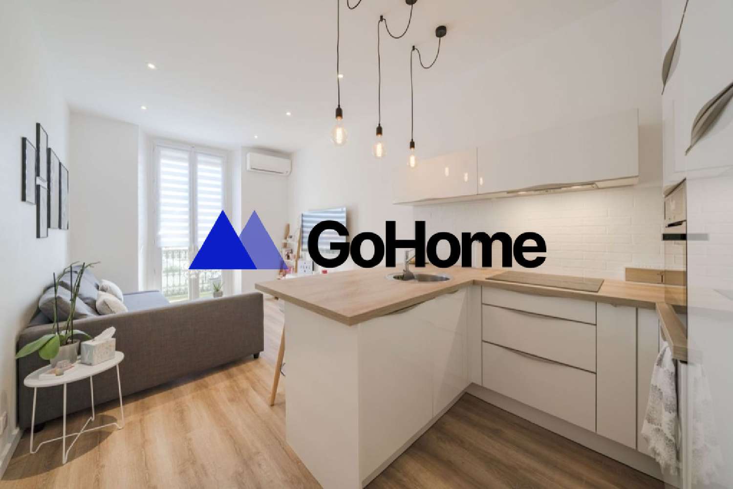  te koop appartement Issy-les-Moulineaux Hauts-de-Seine 1