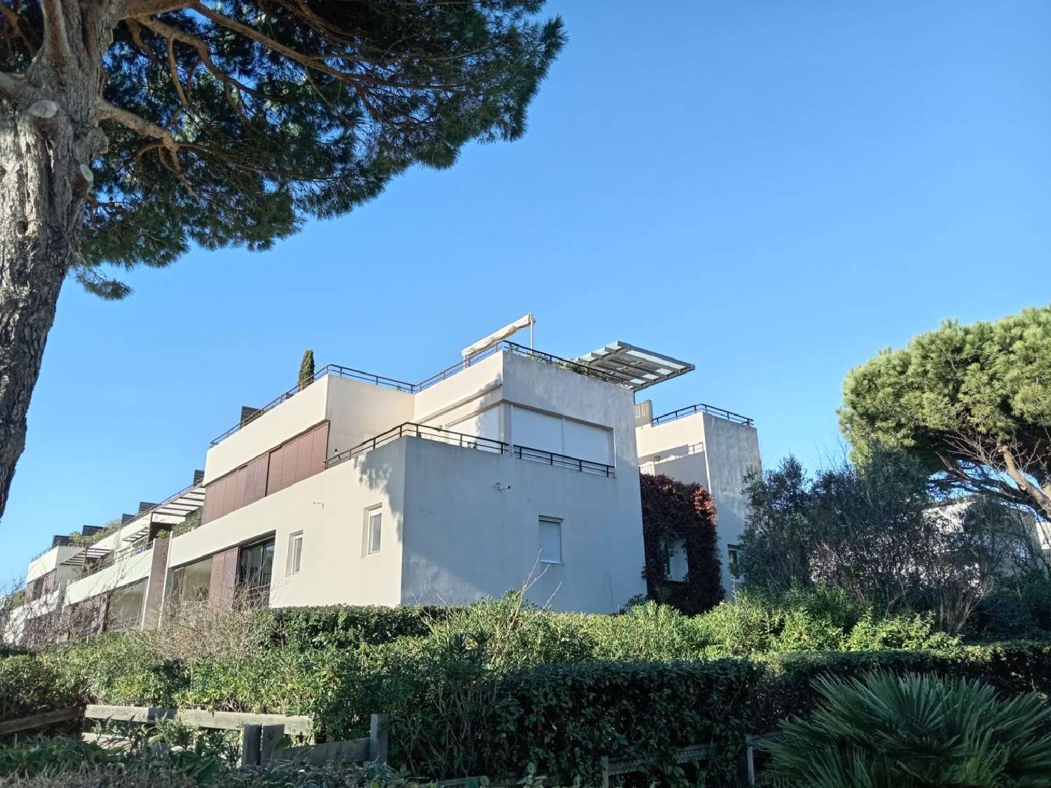 te koop appartement La Grande Motte Hérault 1