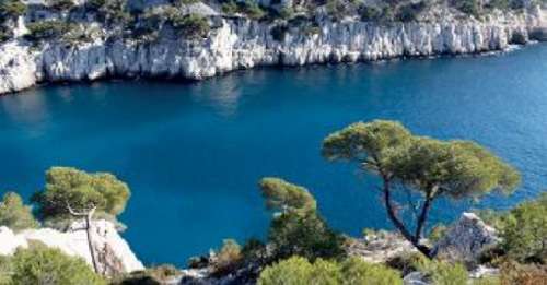 La Seyne-sur-Mer Var Wohnung/ Apartment Bild 7290144